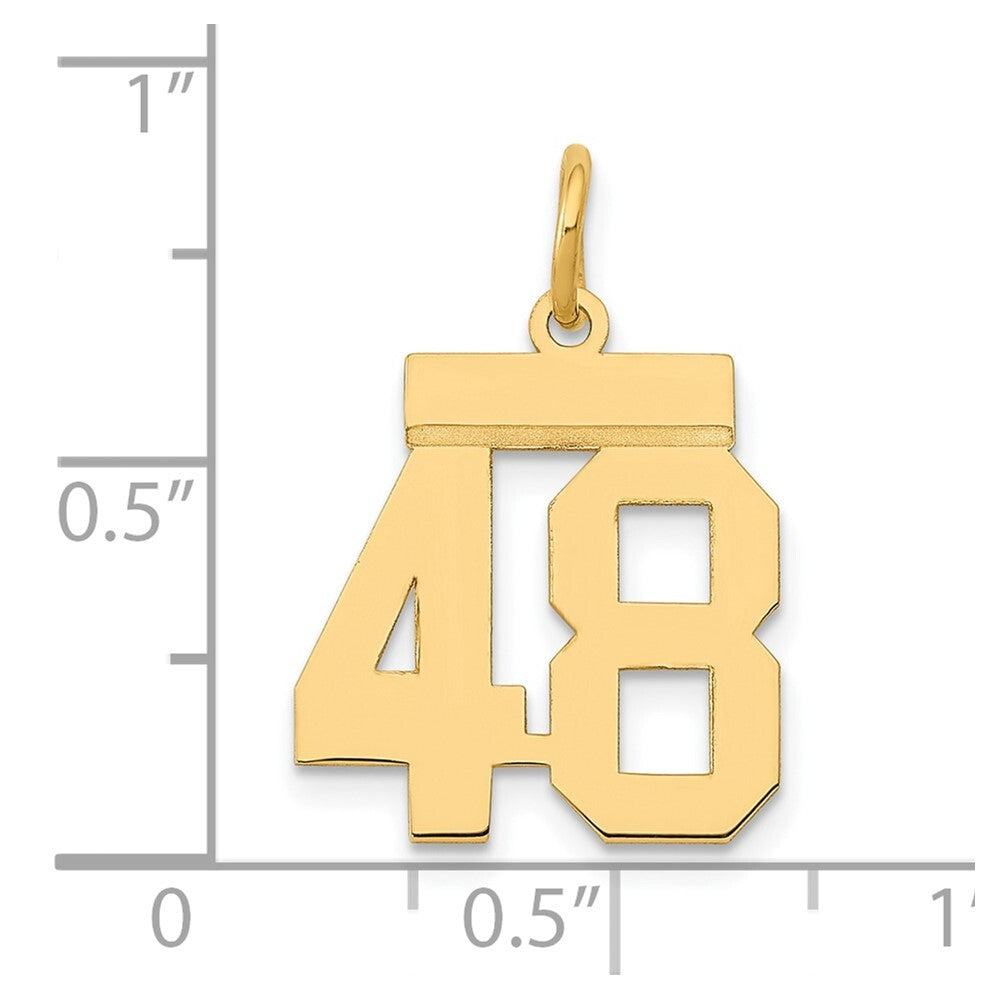 14k Yellow Gold Small Polished Number 48 Charm Pendant for Women