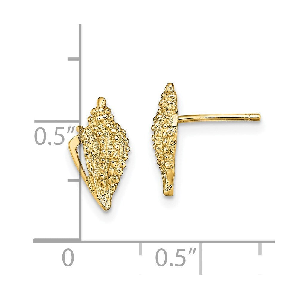 14k Yellow Gold Mini Conch Shell Stud Earrings Gift for Women