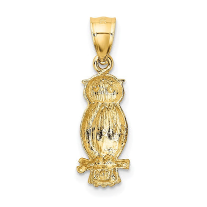 14k Yellow Gold Satin Diamond-cut Owl Pendant for Women