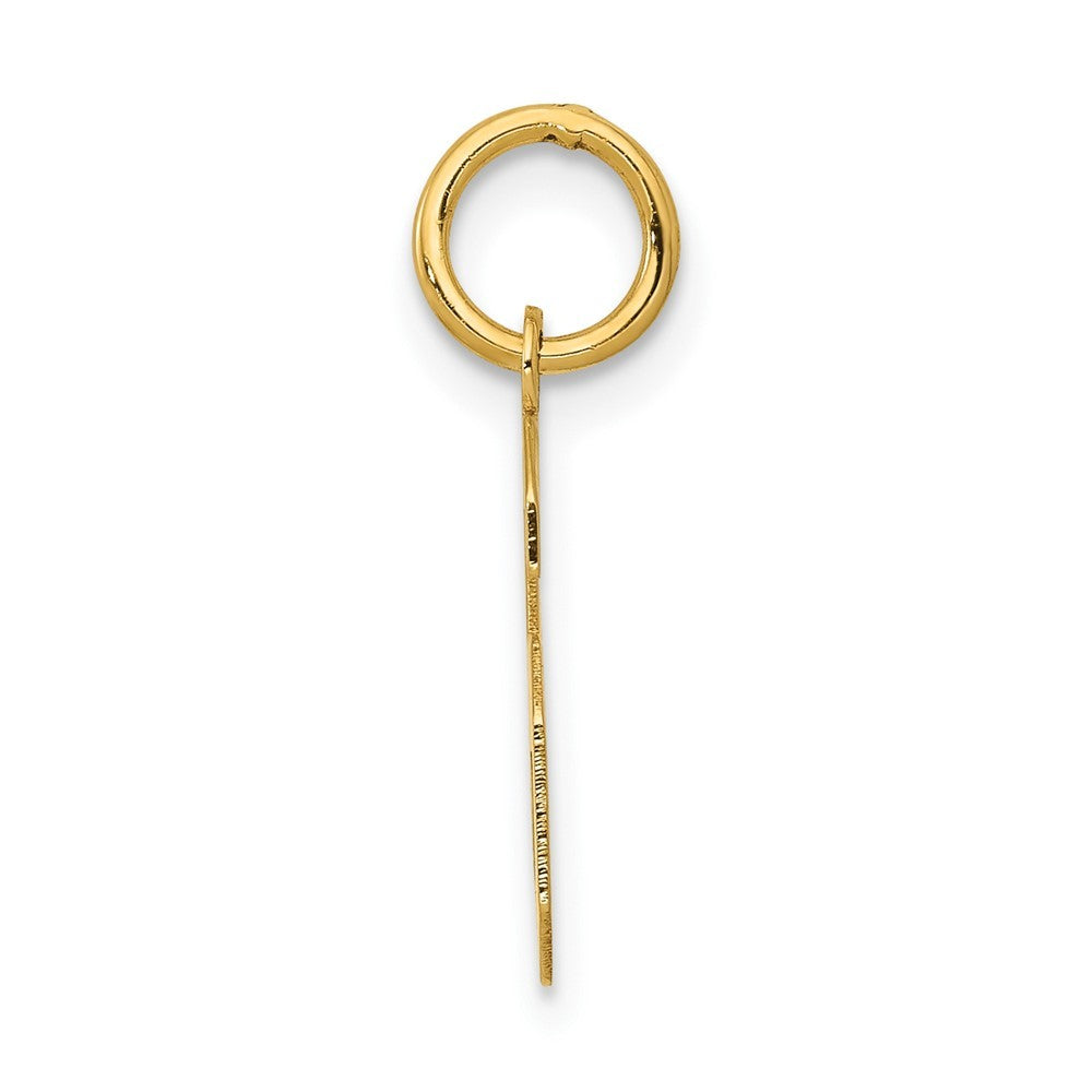 14k Yellow Gold Small Polished Number 6 Charm