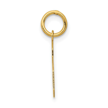 14k Yellow Gold Small Polished Number 6 Charm
