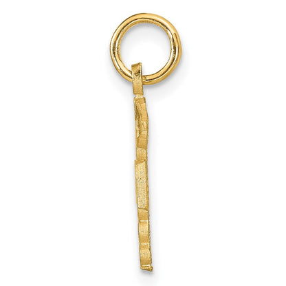 14k Yellow Gold RN Nurse Charm Pendant for Women