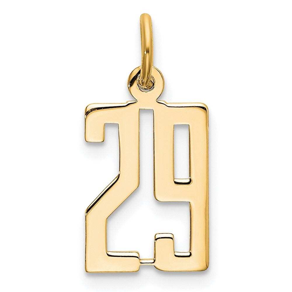 14k Yellow Gold Small Elongated Number 29 Charm Pendant for Women