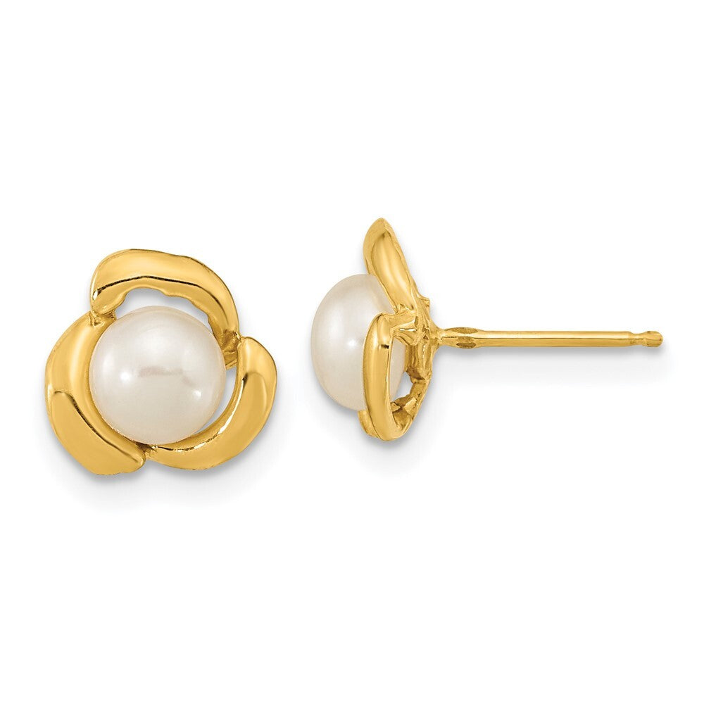 14k Yellow Gold 5-6mm White Button Freshwater Cultured Pearl Stud Earrings
