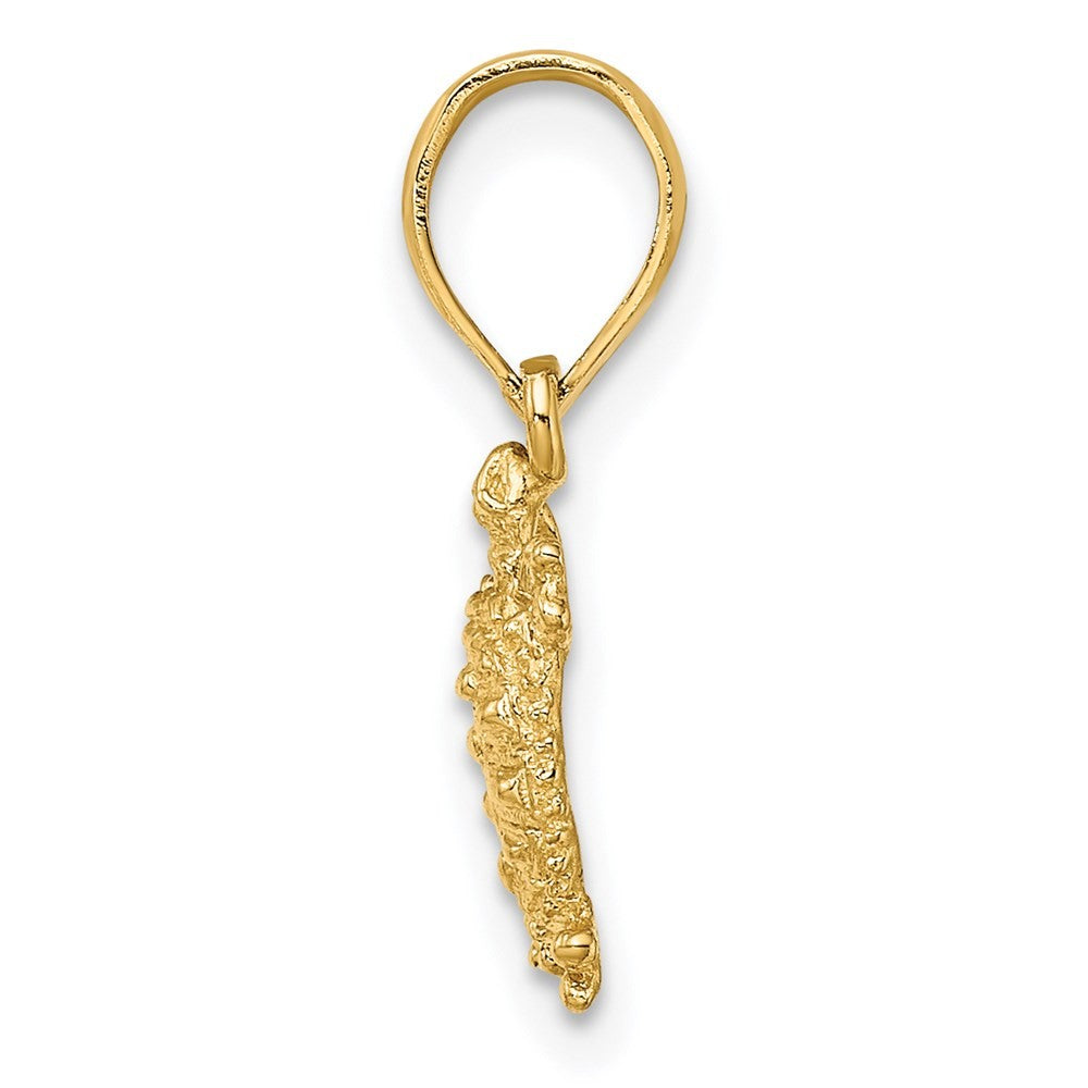 14k Yellow Gold Land Turtle Charm