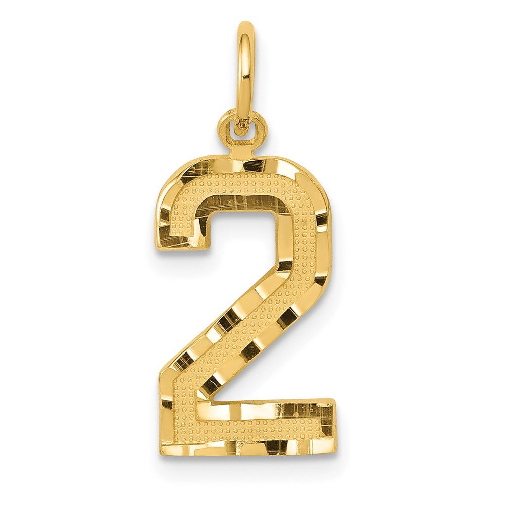 14k Yellow Gold Medium Diamond-cut Number 2 Charm