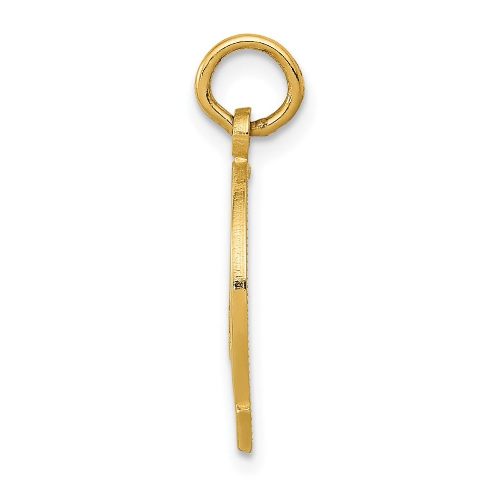 14k Yellow Gold Horseshoe Charm Pendant