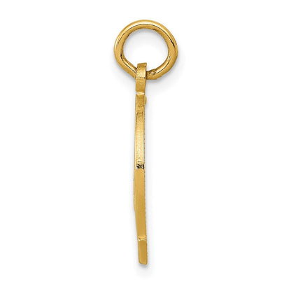 14k Yellow Gold Horseshoe Charm Pendant