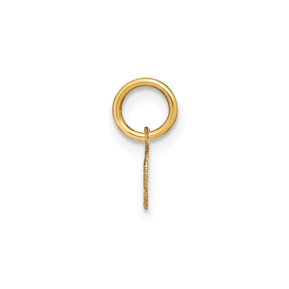 14k Yellow Gold Lower case Letter M Initial Charm Pendant for Women