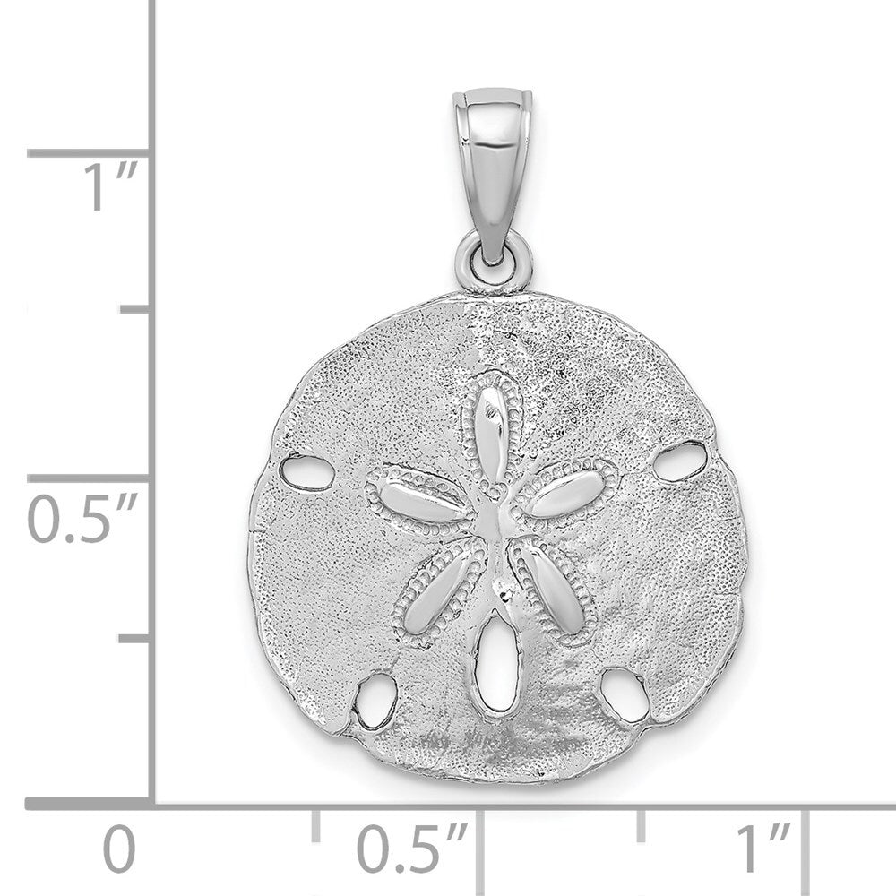14k White Gold Polished Sand Dollar Charm Pendant for Women