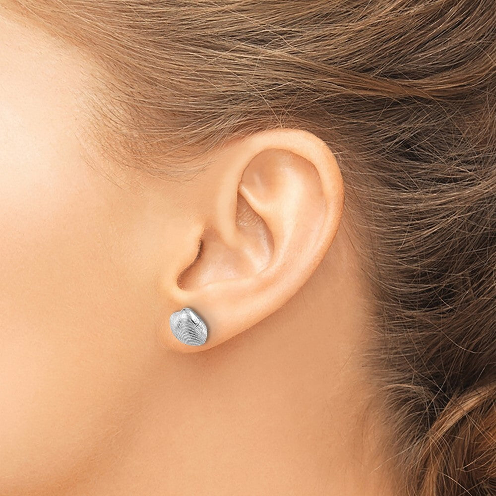 14K White Gold Clam Shell Stud Earrings Gift for Women