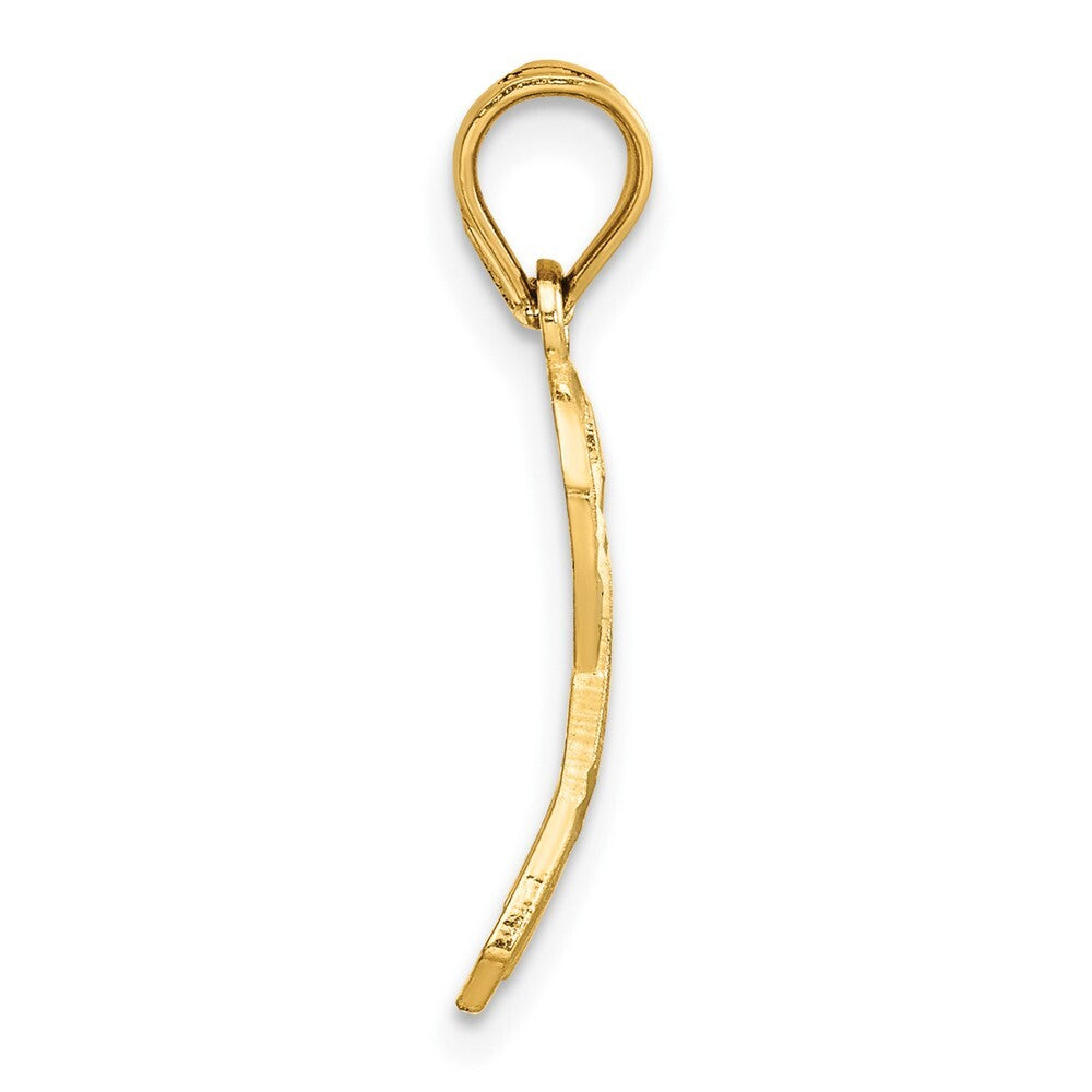 14k Yellow Gold Diamond-cut Awareness Pendant for Women