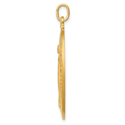 14k Yellow Gold Solid Polished Satin Large Oval Miraculous Medal