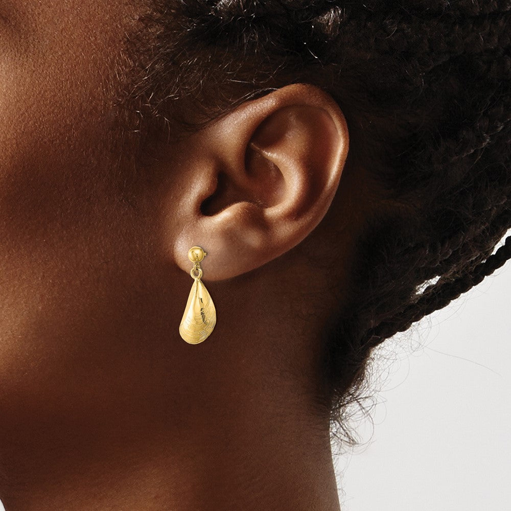 14k Yellow Gold Mussel Shell Dangle Earrings