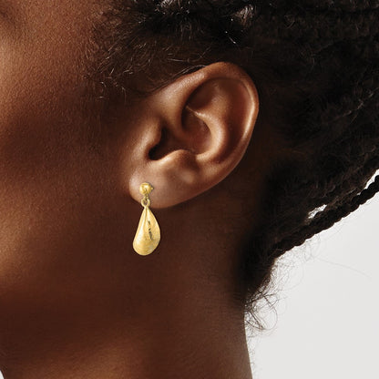 14k Yellow Gold Mussel Shell Dangle Earrings