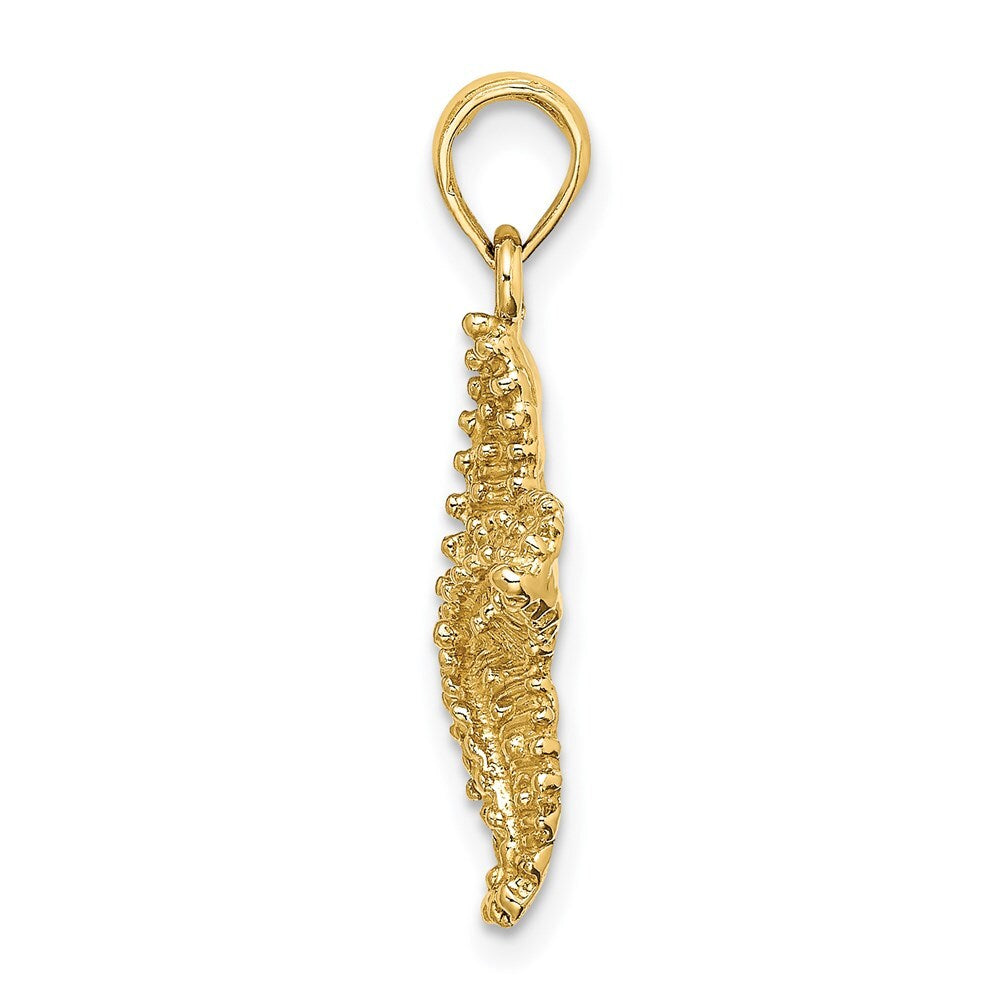 14k Yellow Gold Beaded Textured Starfish Charm Pendant for Women