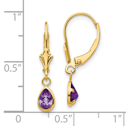 14k Yellow Gold 6x4mm Amethyst/February Stud Earrings Gift for Women