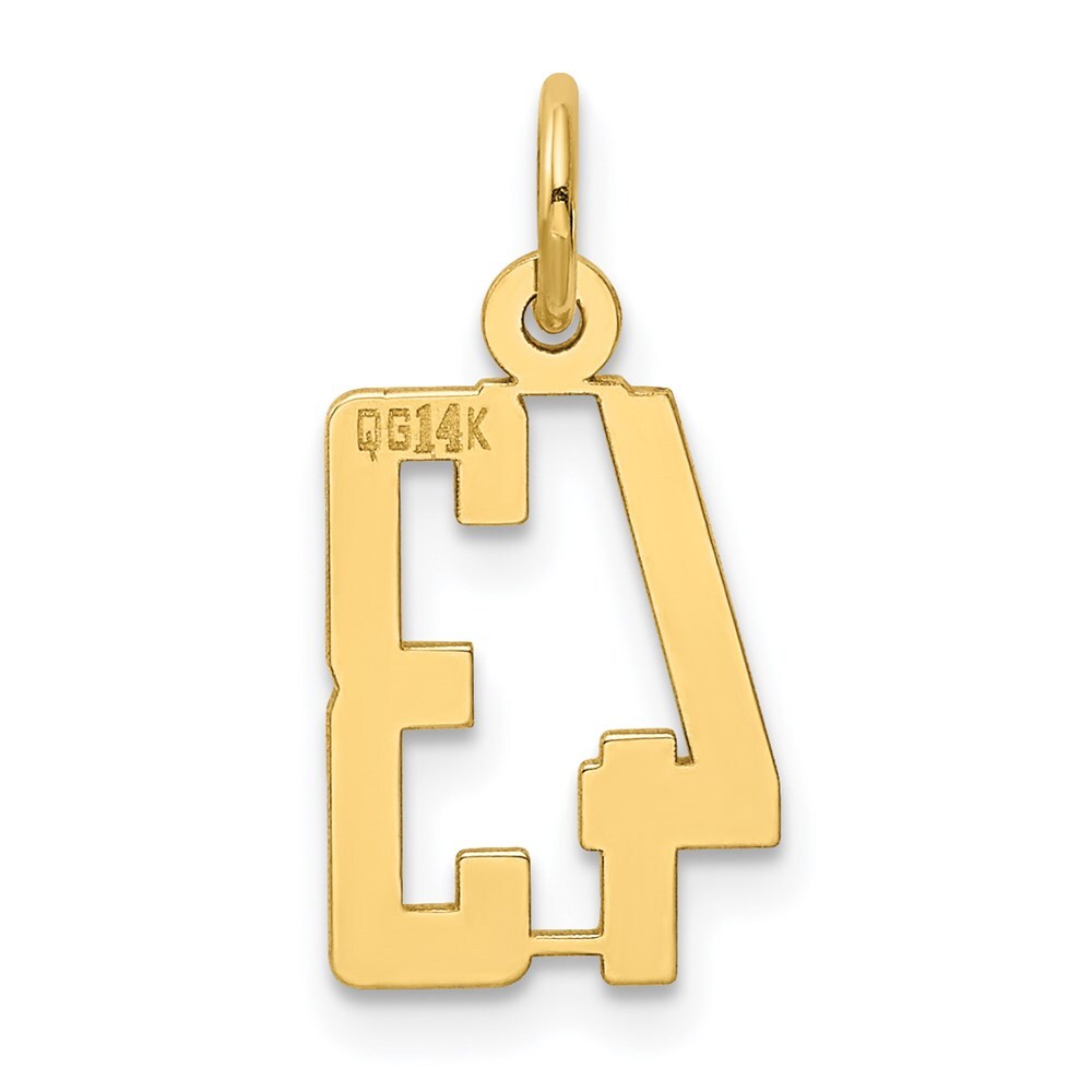 14k Yellow Gold Small Elongated Number 43 Charm Pendant for Women
