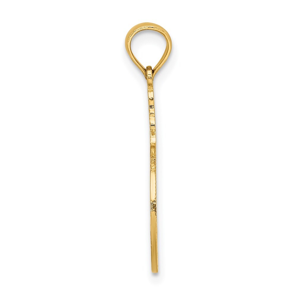 14k Yellow Gold Flamingos In Circle Charm Pendant for Women