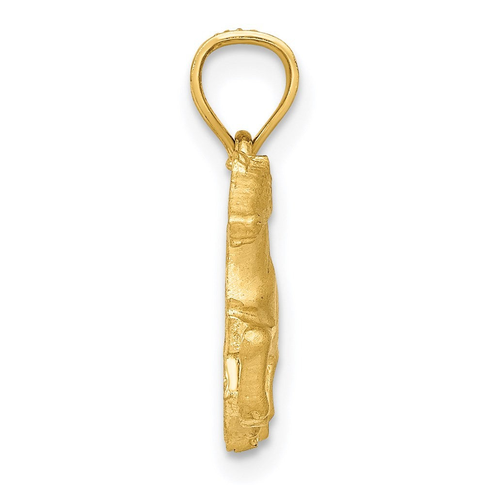 14k Yellow Gold Diamond-cut Pig Pendant