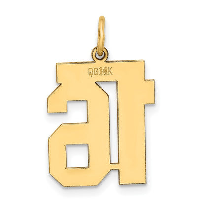 14k Yellow Gold Medium Polished Number 16 Charm Pendant