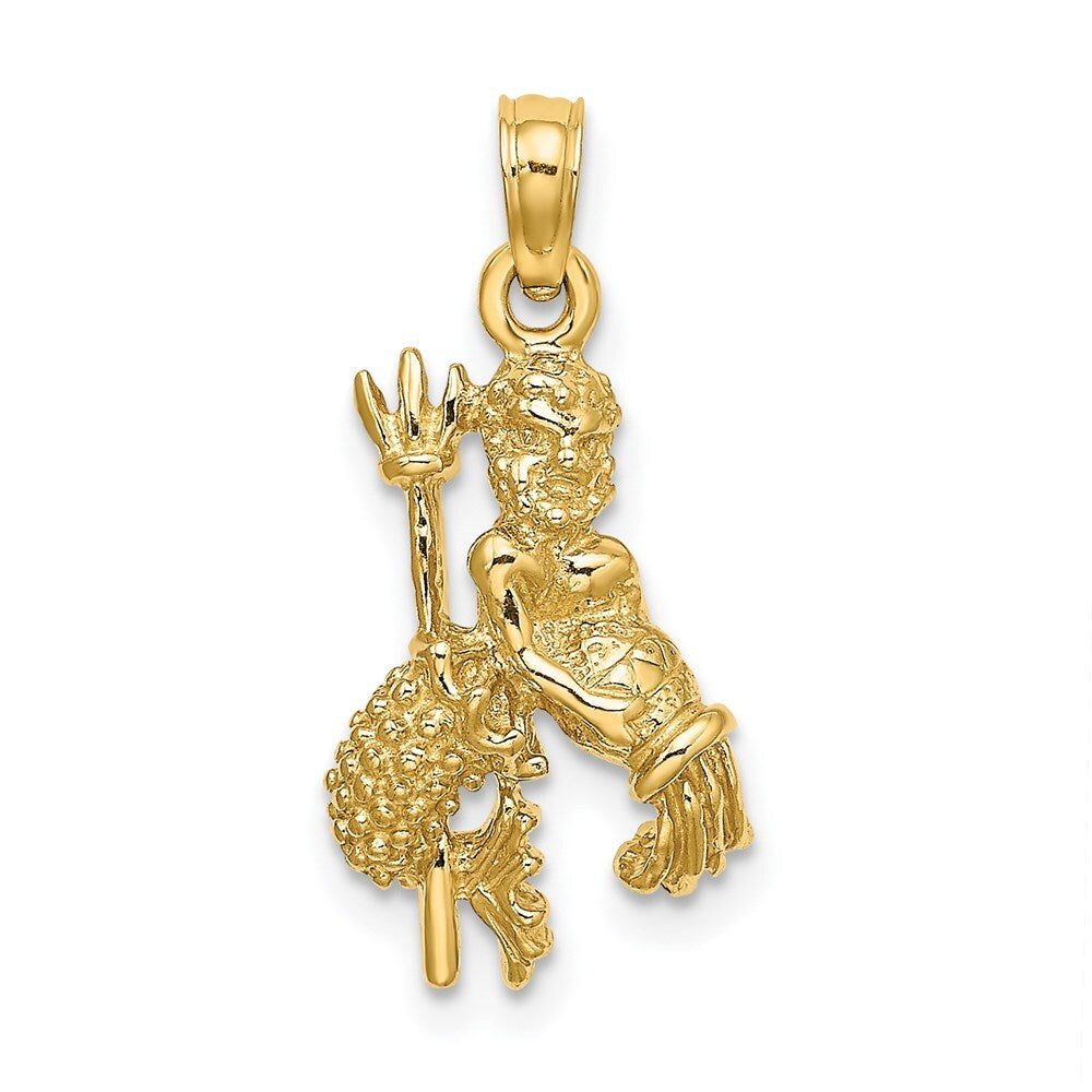 14k Yellow Gold 3-D Aquarius Zodiac Charm Pendant for Women