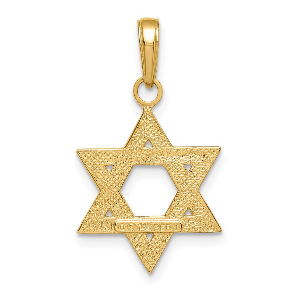 14k Yellow Gold Solid Satin Star of David Charm