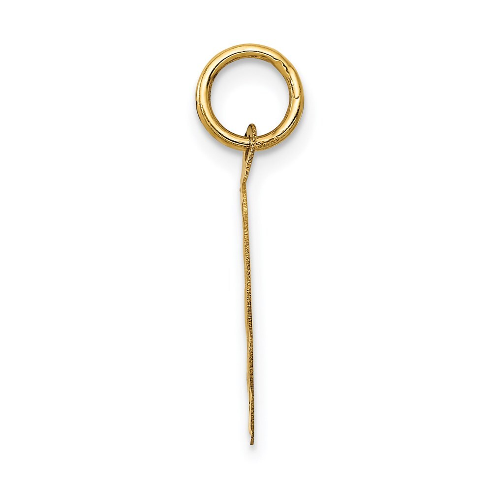 14k Yellow Gold Polished IT'S A BOY Scalloped Disc Charm Pendant for Women