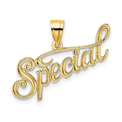 14k Yellow Gold Polished and Textured SPECIAL Charm