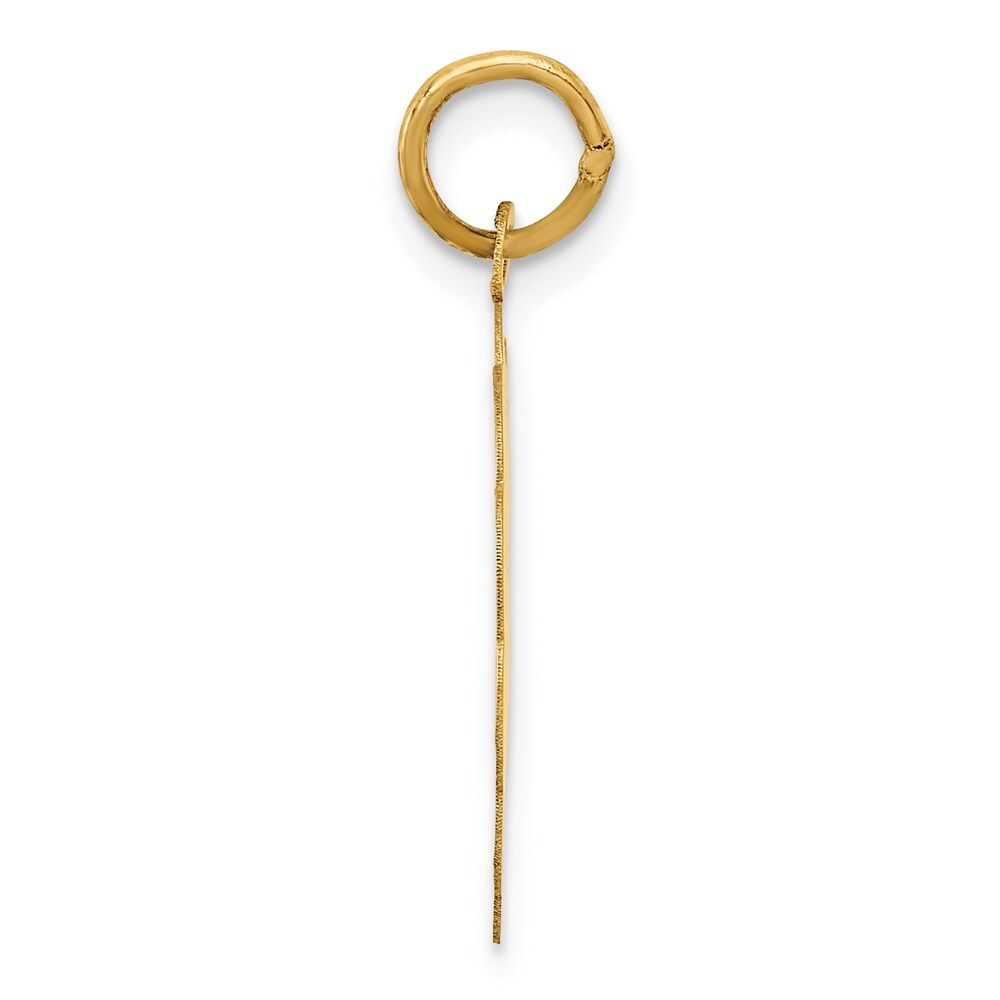 14k Yellow Gold A DATE TO REMEMBER Disc Charm Pendant for Women
