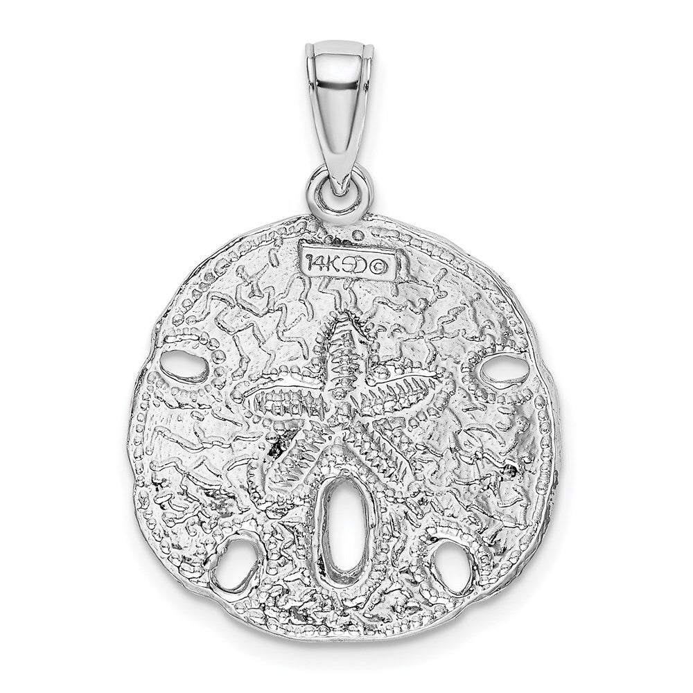 14k White Gold Polished Sand Dollar Charm Pendant for Women