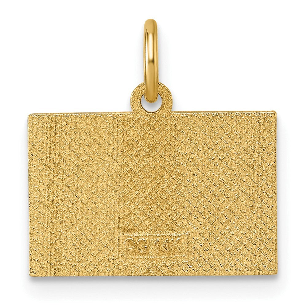 14k Yellow Gold Polished Enameled Rainbow Flag Pendant