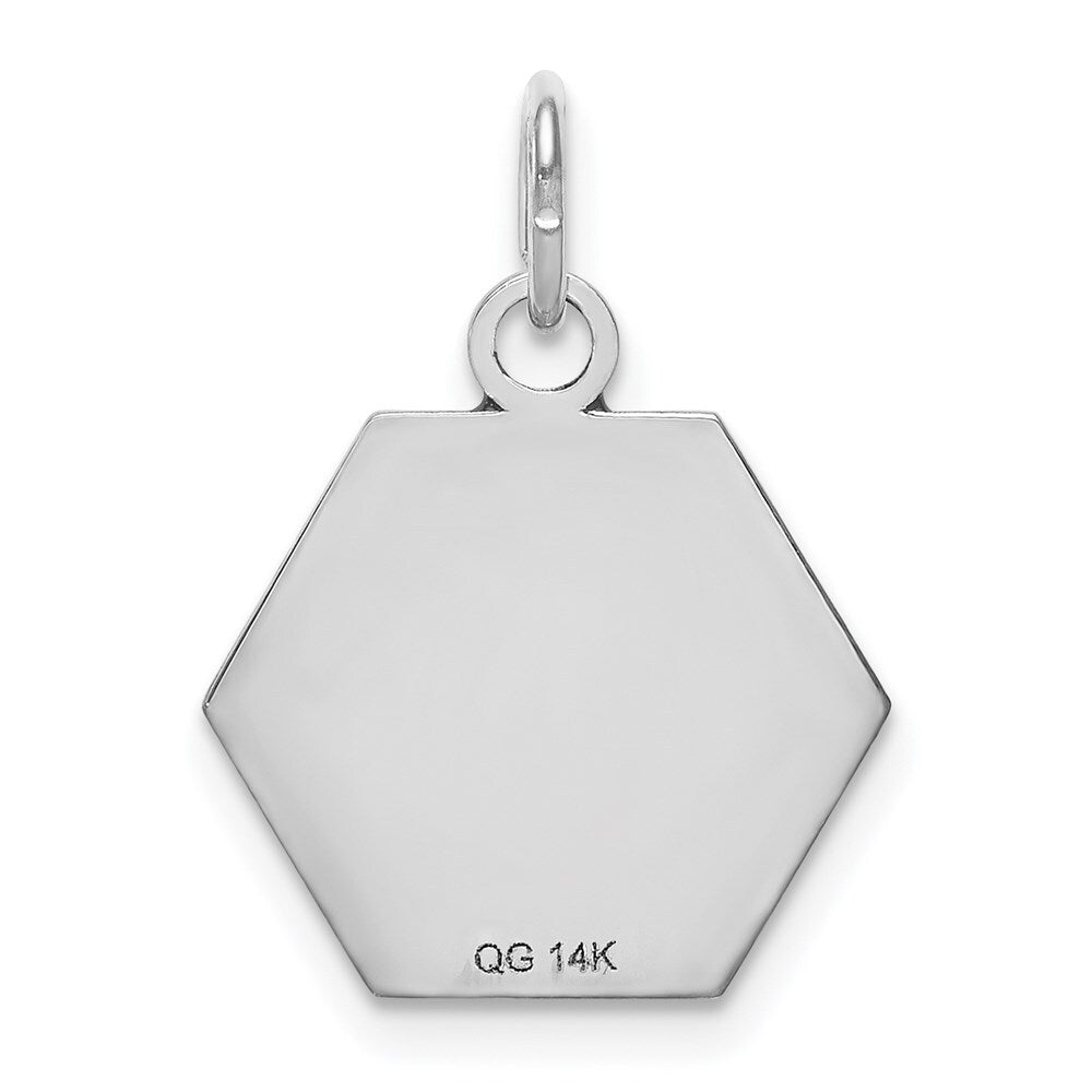 14k White Gold Red Enamel Medical Jewelry Pendant for Women