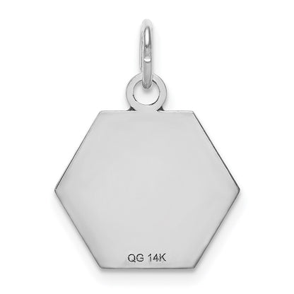 14k White Gold Red Enamel Medical Jewelry Pendant for Women