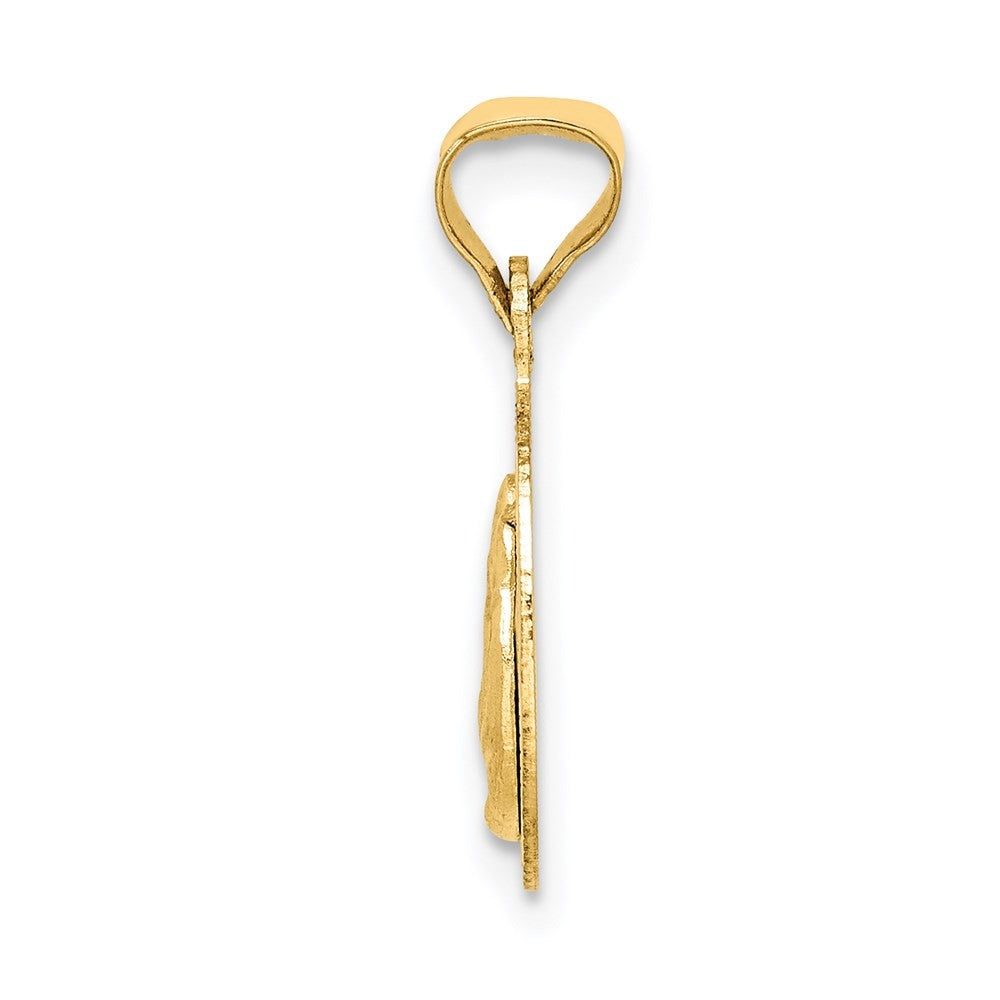 14k Yellow Gold w/Rose and White Rhodium Diamond-Cut  Baptism Pendant