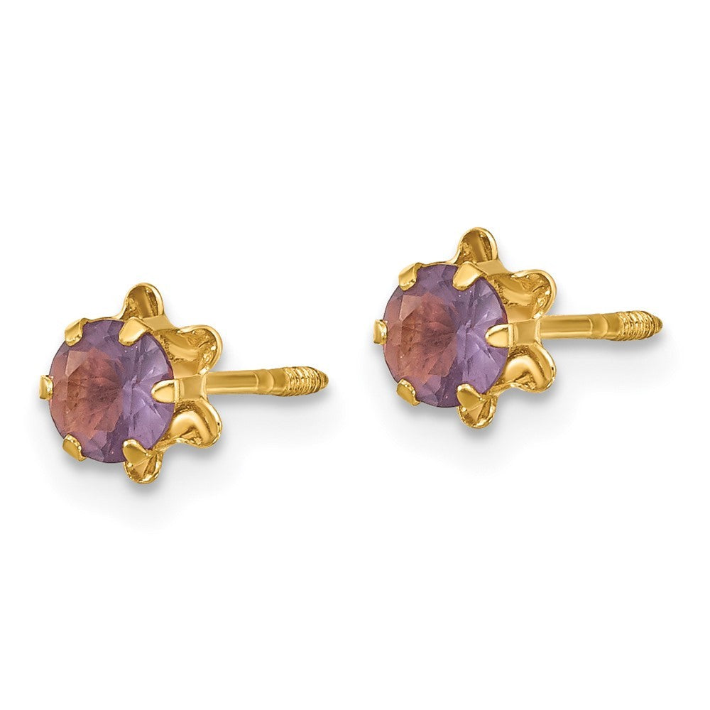 14k Yellow Gold 4mm CZ Birthstone (Feb) Screwback Earrings