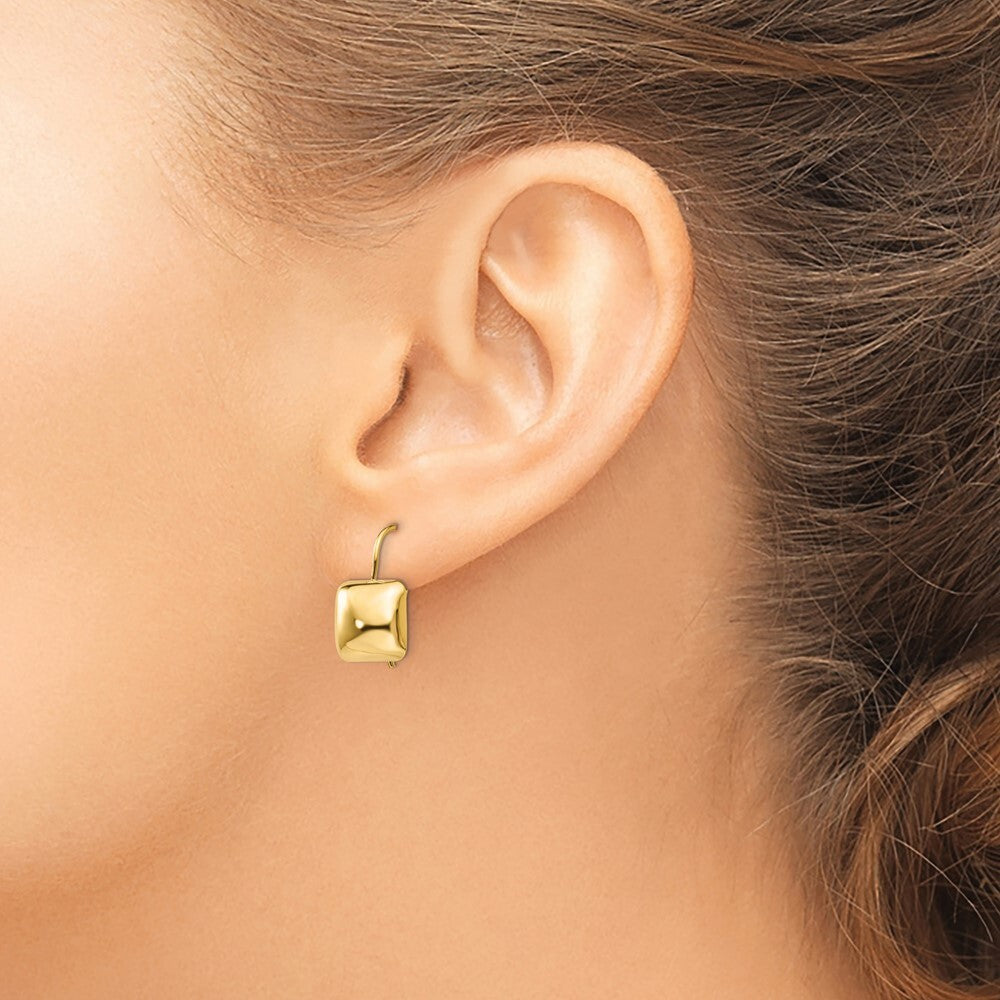 14k Yellow Gold Polished 9.5mm Puffed Square Kidney Wire Drop & Dangle Earrings