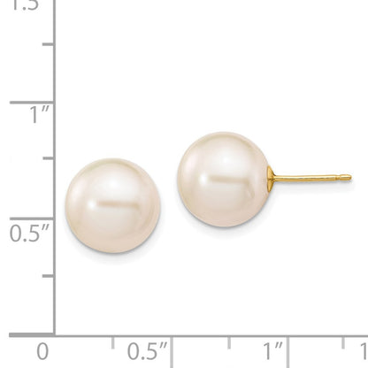 14k Yellow Gold 10-11mm White Round Freshwater Cultured Pearl Stud Earrings