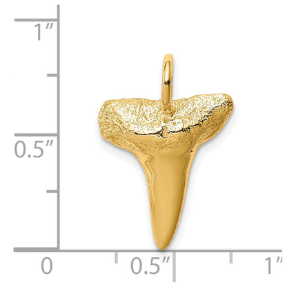 14k Yellow Gold Shark Tooth Pendant for Women