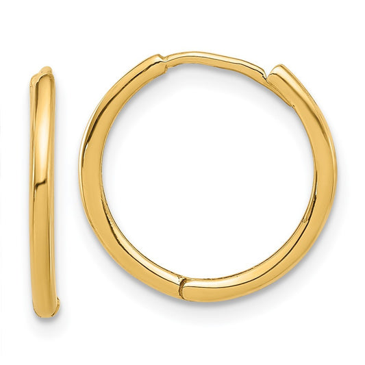 14k Yellow Gold Polished Hinged Hoop Earrings