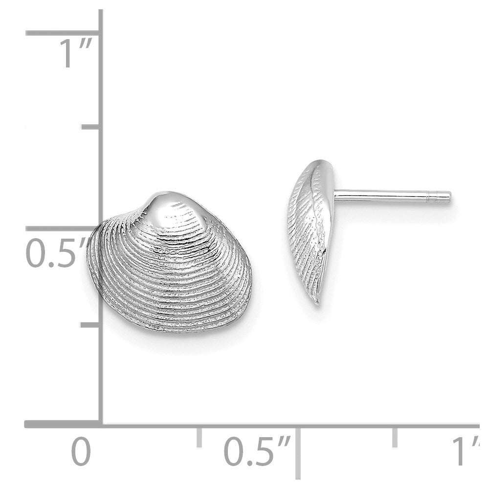 14K White Gold Clam Shell Stud Earrings Gift for Women