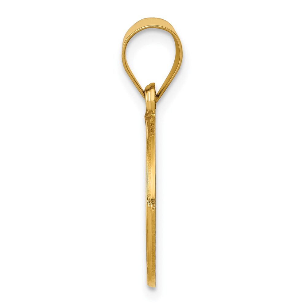 14k Yellow Gold Polished and Satin St John Baptist Medal Hollow Pendant