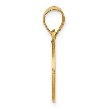 14k Yellow Gold Polished and Satin St John Baptist Medal Hollow Pendant