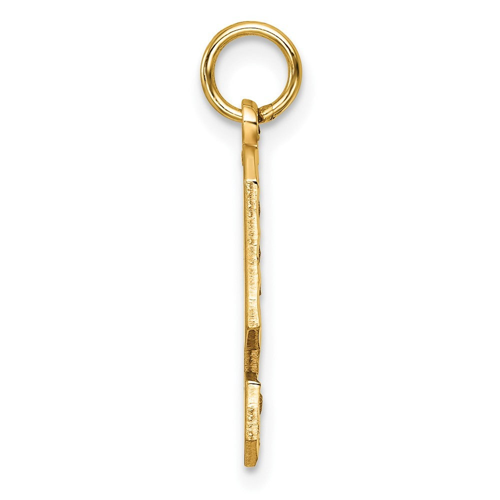 14k Yellow Gold Large Brushed Diamond-cut  Number 9 Charm