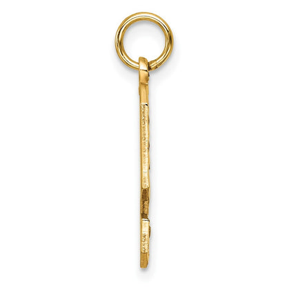 14k Yellow Gold Large Brushed Diamond-cut  Number 9 Charm