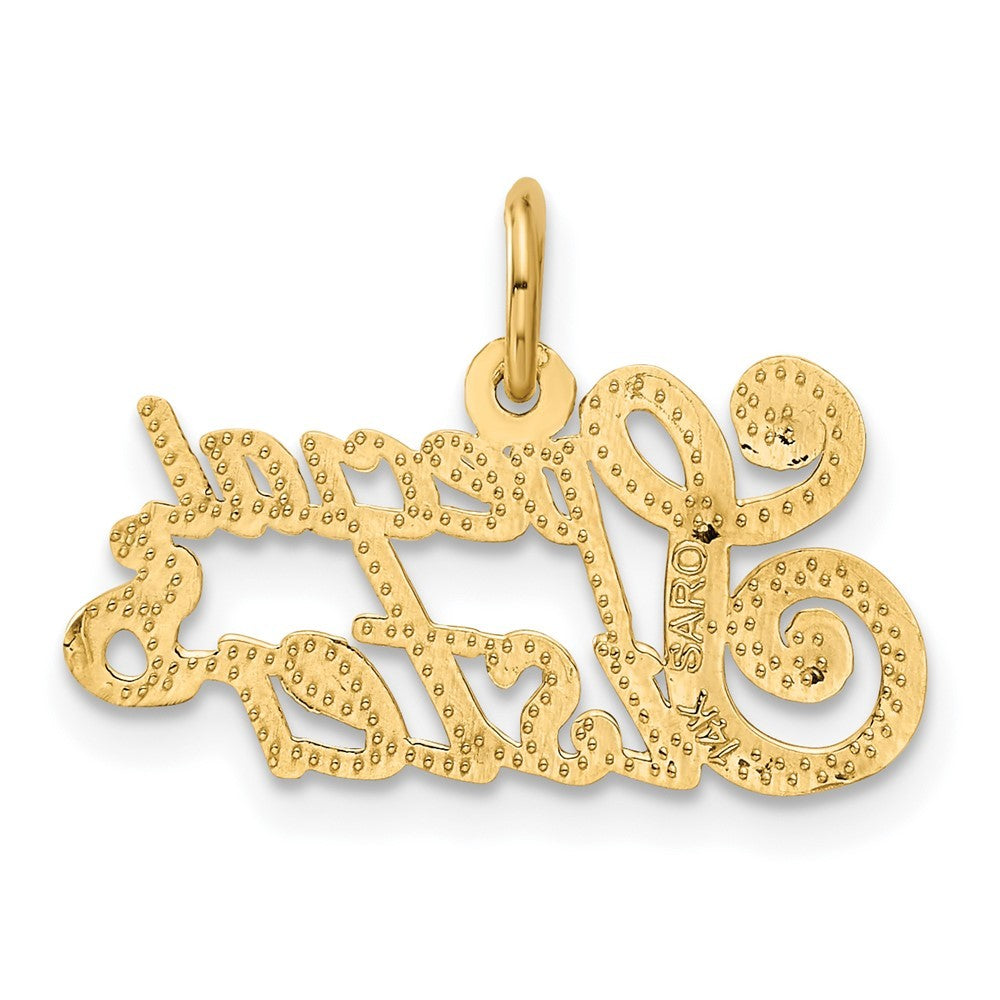 14k Yellow Gold SPECIAL SISTER Charm