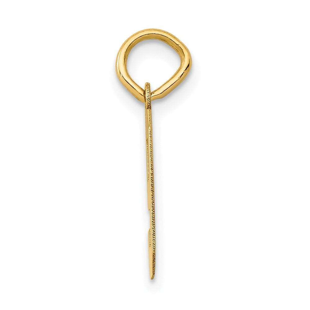 14k Yellow Gold Small Polished Number 9 Charm