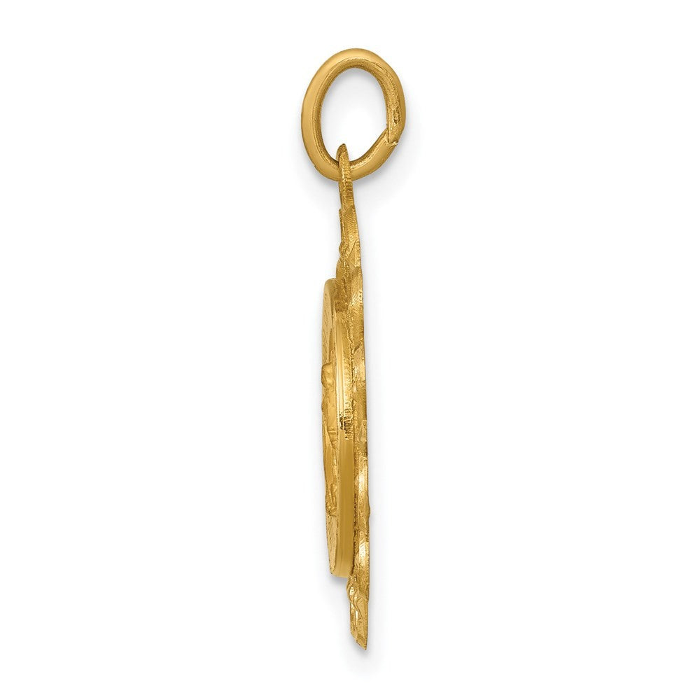 14k Yellow Gold Miraculous Medal Charm
