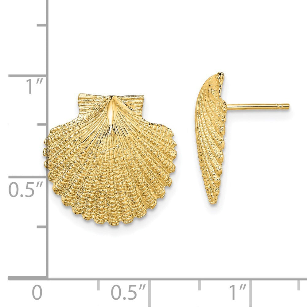 14k Yellow Gold 2-D Textured Scallop Shell Stud Earrings