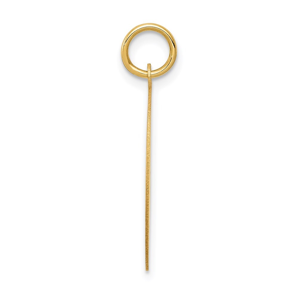 14k Yellow Gold WRESTLING Disc Charm Pendant for Women